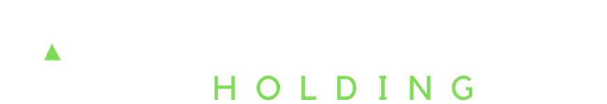 Synapsylon Holding logo
